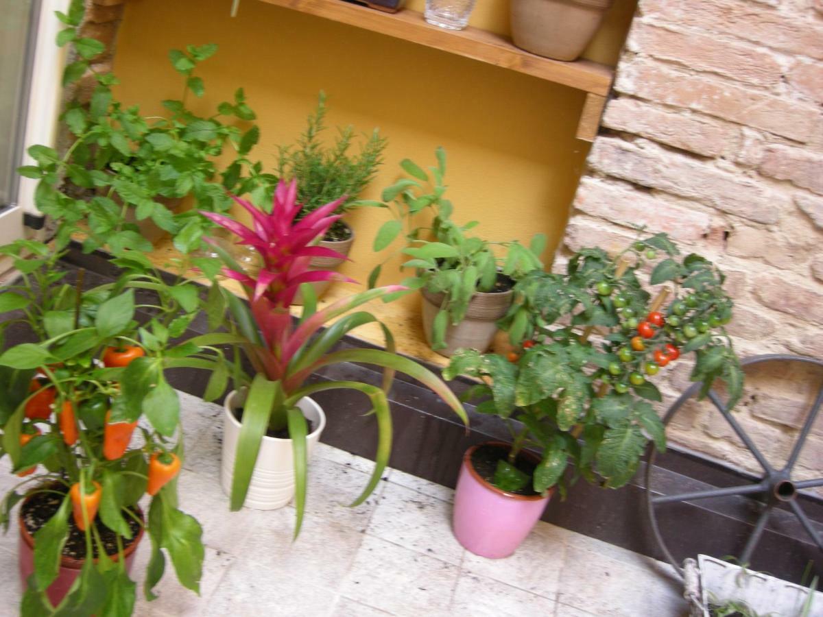 Terrazza Petroni Apartment Bologna Exterior foto